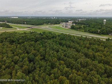 Located in Richland Parish near Delhi, Louisiana, this - photo 17