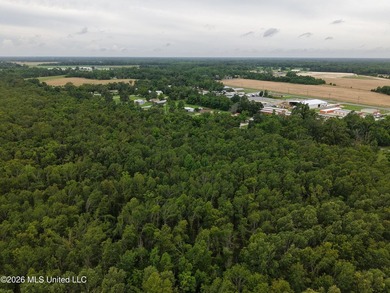 Located in Richland Parish near Delhi, Louisiana, this - photo 18