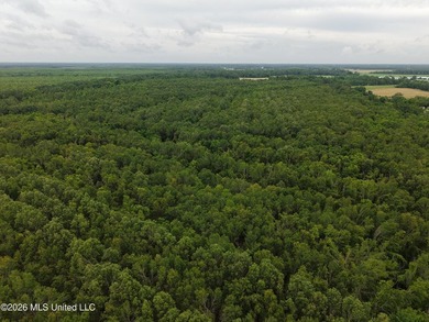 Located in Richland Parish near Delhi, Louisiana, this - photo 19