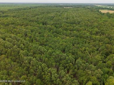 Located in Richland Parish near Delhi, Louisiana, this - photo 20