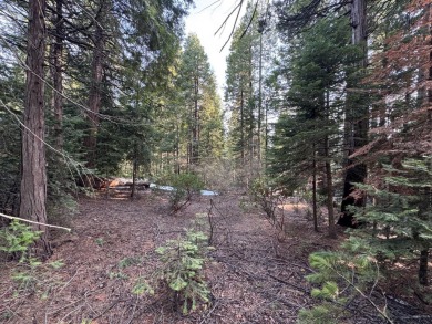 Lake Lot For Sale in Shaver Lake, California