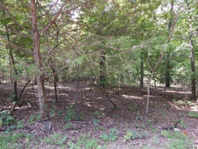 Lake Lot For Sale in Gilbertsville, Kentucky