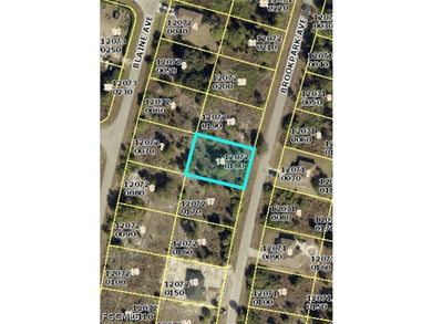 Quarter acre lot located in a fast growing part of Fort Myers - photo 2