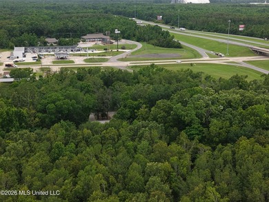 Located in Richland Parish near Delhi, Louisiana, this - photo 22