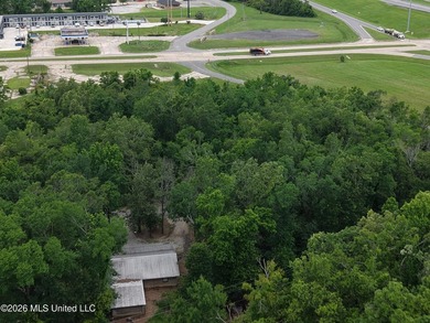 Located in Richland Parish near Delhi, Louisiana, this - photo 23