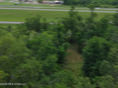 Located in Richland Parish near Delhi, Louisiana, this - photo 25