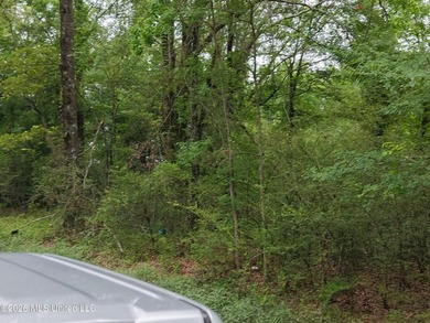 Located in Richland Parish near Delhi, Louisiana, this - photo 26