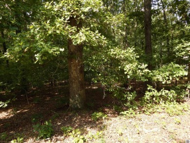 Lake Lot For Sale in Gilbertsville, Kentucky