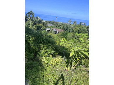 Build your dream home in the *sweet spot* of Kailua- Kona with - photo 5
