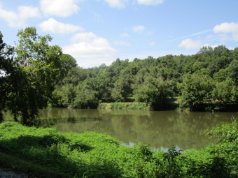 Lake Acreage Off Market in Eidson, Tennessee