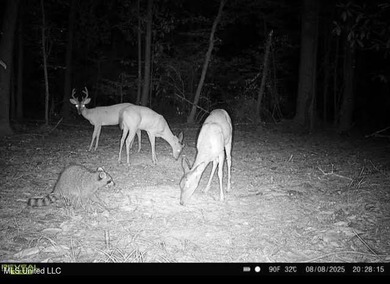 +/- 79.6 acres just south of the Rankin/Simpson line in Simpson - photo 5