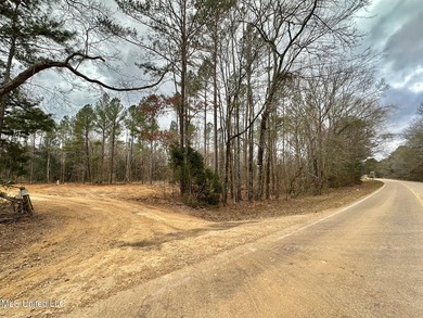 +/- 79.6 acres just south of the Rankin/Simpson line in Simpson - photo 6