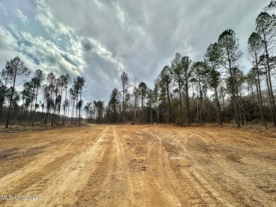 +/- 79.6 acres just south of the Rankin/Simpson line in Simpson - photo 7