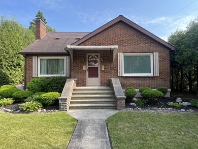 Hart Lake Home For Sale in Hart Michigan