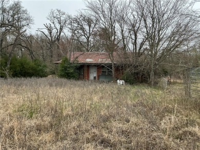 Lake Home For Sale in Groesbeck, Texas