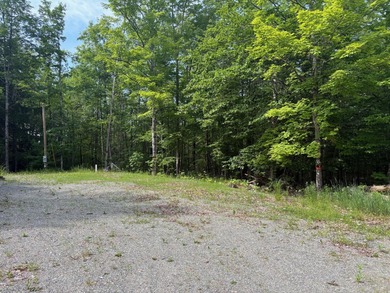 Morrill Pond Acreage For Sale in Hartland Maine