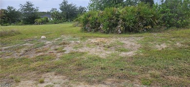 Rare opportunity to own a beautiful cleared vacant lot with city - photo 2