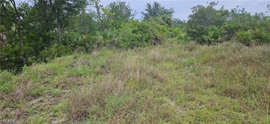 Rare opportunity to own a beautiful cleared vacant lot with city - photo 3