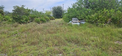 Rare opportunity to own a beautiful cleared vacant lot with city - photo 4