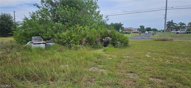 Rare opportunity to own a beautiful cleared vacant lot with city - photo 5
