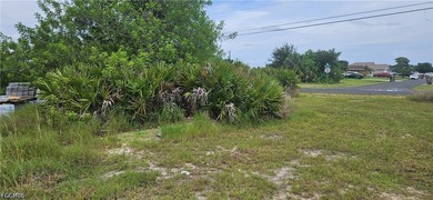 Rare opportunity to own a beautiful cleared vacant lot with city - photo 6