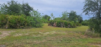 Rare opportunity to own a beautiful cleared vacant lot with city - photo 7