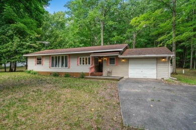 Lake Home For Sale in Indian River, Michigan
