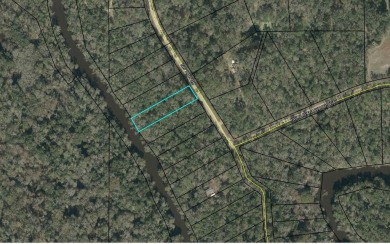 Lake Lot For Sale in Jasper, Florida