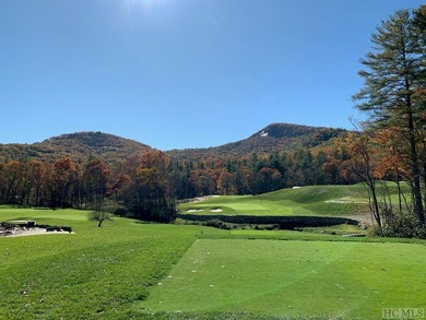 This 1.20+/- acre lot offers views of Goatsknob, and Shortoff - photo 12