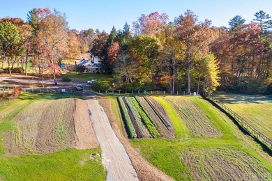 This 1.20+/- acre lot offers views of Goatsknob, and Shortoff - photo 13