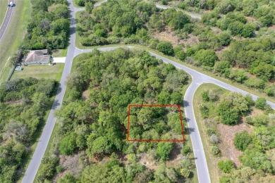 Great residential lot located in Port Charlotte ready to build - photo 3