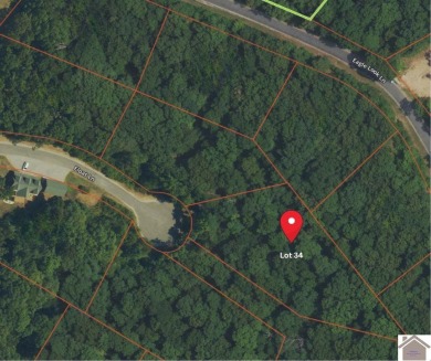 Lake Lot For Sale in Murray, Kentucky