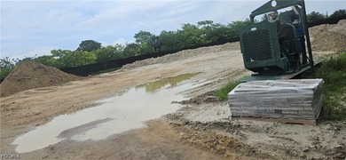 EXCEPTIONAL BUILD-READY ALL CLEARED LOT IN NE CAPE CORAL! Seize - photo 3