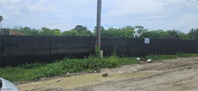 EXCEPTIONAL BUILD-READY ALL CLEARED LOT IN NE CAPE CORAL! Seize - photo 4