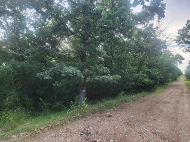 Lake Acreage For Sale in Diamond City, Arkansas