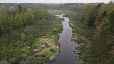 Lake Acreage For Sale in Kaleva, Michigan