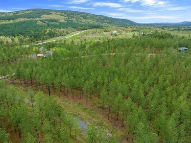 Lake Acreage For Sale in No City, Oklahoma