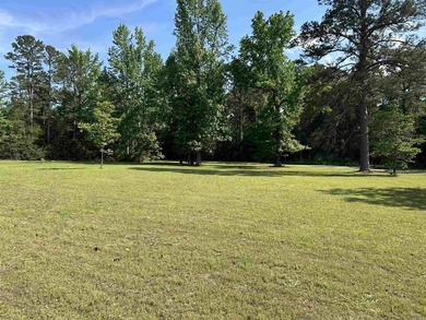 Charming 1982 home nestled on just over 2 acres in Higden, AR - - photo 47