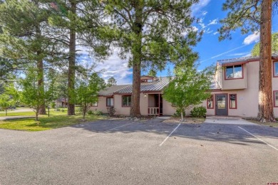Lake Condo For Sale in Pagosa Springs, Colorado