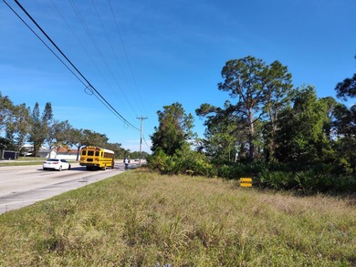 Lehigh Acres Area Lot For Sale in Lehigh Acres Florida