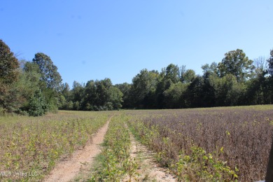 Lake Acreage For Sale in Byhalia, Mississippi