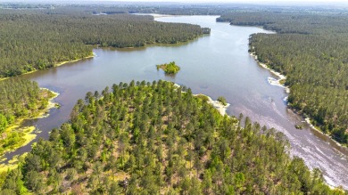 Lake Acreage For Sale in Ellisville, Mississippi