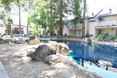 Why pay rent, when you can own! Welcome to this bright and - photo 13