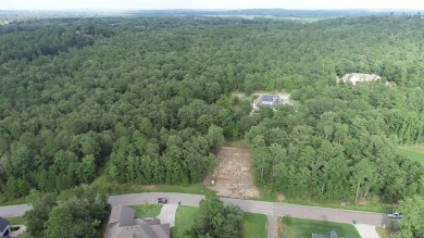 Lake Lot For Sale in Roland, Arkansas