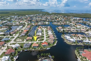 PGI WATERFRONT HOME W/STUNNING CANAL VIEW, 103 FT OF SEAWALL - photo 4
