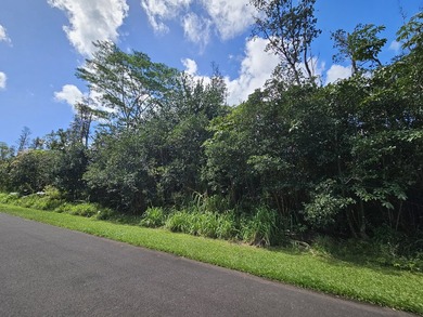 Great lot located in the highly sought after Hawaiian Shores - photo 4