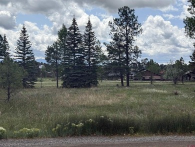 Pinon Lake Lot For Sale in Pagosa Springs Colorado