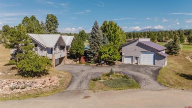 Pinon Lake Home For Sale in Pagosa Springs Colorado