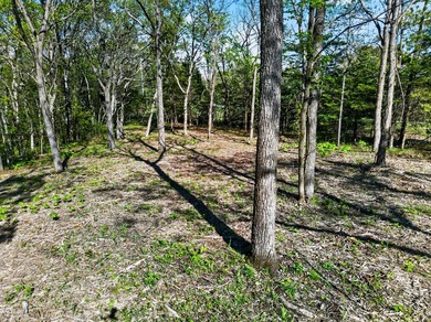 5 Acres Right Off Hwy MM | High Drive Frontage | Build-Ready | - photo 11