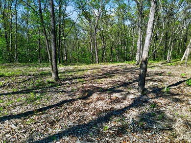 5 Acres Right Off Hwy MM | High Drive Frontage | Build-Ready | - photo 13